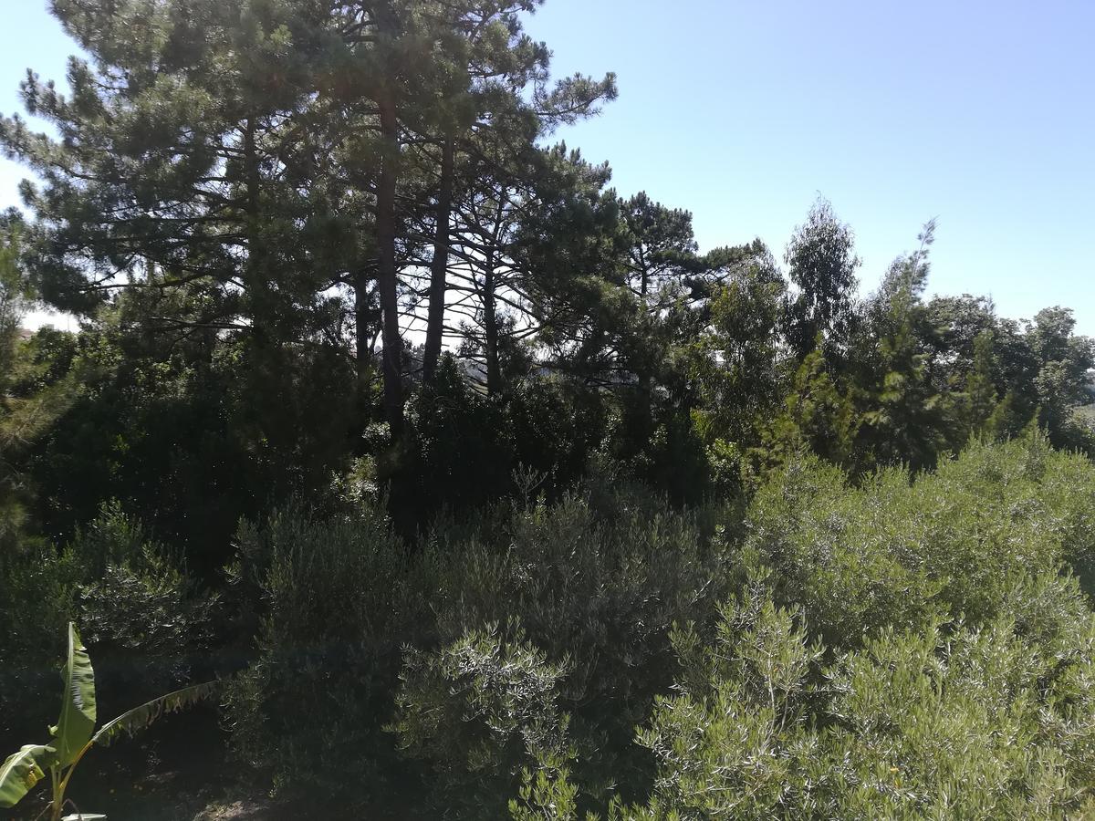 Quinta Vale Real Villa Alcobaça Eksteriør billede